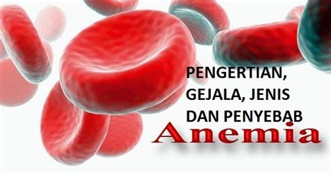 pengertian anemia